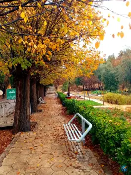 دانشکده داروسازی شیراز، کارآفرین، شیراز