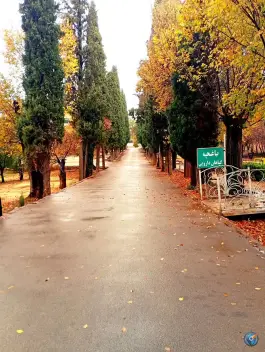 عکس دانشکده داروسازی شیراز، کارآفرین، شیراز 2