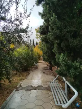 عکس دانشکده داروسازی شیراز، کارآفرین، شیراز 3