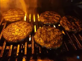 عکس فست فود گریل استریت، آریو برزن، شیراز 5