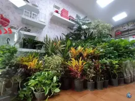عکس گل فروشی سوگند، رباط اول، اصفهان 5