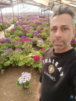 عکس گلفروشی قم گل، حافظ ۳، قم 4