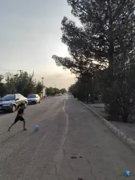 عکس باغ فدک، سید حسن نصرالله، اصفهان 8