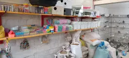 عکس پرنده فروشی و دان پرنده رسالت قم 2