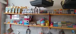 عکس پرنده فروشی و دان پرنده رسالت قم 4