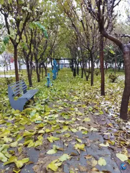 عکس های پارک توتستان، رجب آباد، کرج