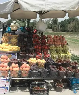 میوه فروشی امینی، فاز ۳ مهرشهر کرج