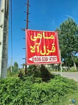 عکس استخر پرورش ماهی خاویار سبز، فومن 2