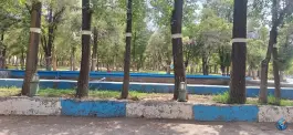 عکس پارک جنگلی سرچشمه، فرخ شهر، چهارمحال و بختیاری 2