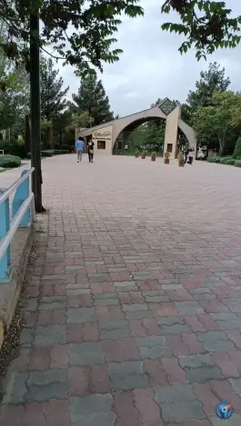 عکس دانشگاه بین المللی امام خمینی، محله دانشگاه، قزوین 10