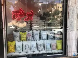عکس بورس برنج مبینی، رودکی، اصفهان 2