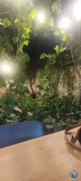 کافه رستوران عمارت ساسانیان، قصردشت، شیراز