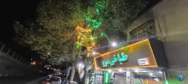 عکس های طباخی سرو - شریعتی، تهران