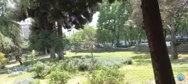 عکس دانشکده تربیت بدنی و زبان دانشگاه تهران، قزل قلعه 3