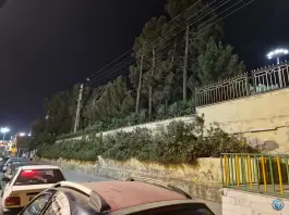 عکس پارک بلوار بهار، حجتیه قم 6