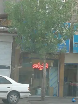 عکس های لبنیات چهل درخت قم