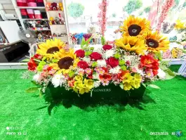 عکس گلخانه رگال، کمال شهر، کرج 2