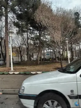 بوستان معرفت، مصلای قم