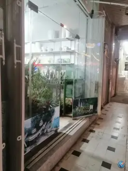 عکس گل فروشی بهشت سبز، خیام جنوبی، قم 2