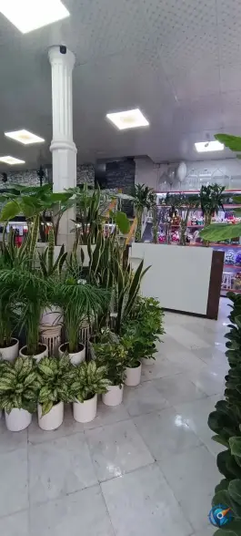 عکس های گل فروشی یاس، چهل و پنج متری گلشهر کرج