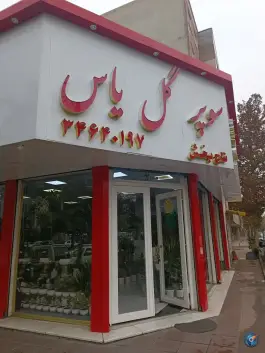 عکس گل فروشی یاس، چهل و پنج متری گلشهر کرج 3