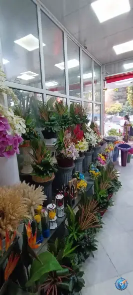 عکس گل فروشی یاس، چهل و پنج متری گلشهر کرج 4