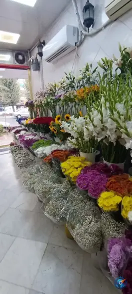 عکس گل فروشی یاس، چهل و پنج متری گلشهر کرج 5