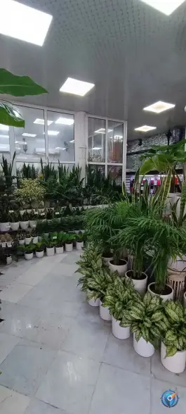 عکس گل فروشی یاس، چهل و پنج متری گلشهر کرج 6