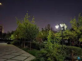 عکس دانشکده پزشکی مشهد؛ محله دانشگاه 4