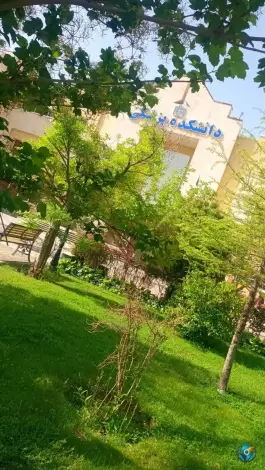عکس دانشکده پزشکی مشهد؛ محله دانشگاه 8