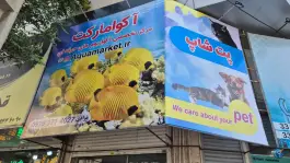 عکس پت شاپ و مرکز تخصصی آکواریوم، گلشهر ویلا، کرج 2