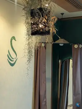 عکس های مزون درزی ۴۰۸، رجایی شهر، کرج
