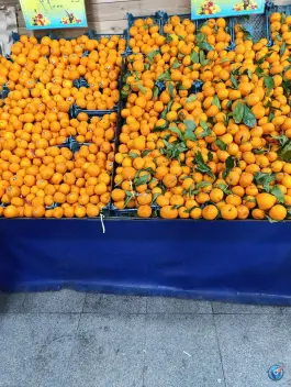 عکس حاجی ارزونی بزرگ کرج نو 6