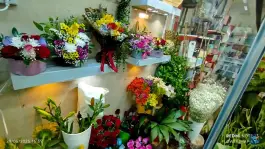عکس گل فروشی یاس، میثم، اصفهان 2