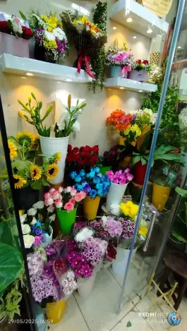 عکس گل فروشی یاس، میثم، اصفهان 3