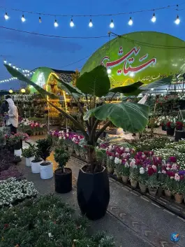گلسرای ستایش، بهشت اصفهان
