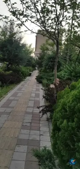 عکس بوستان دانش، شیخ آباد، قم 2