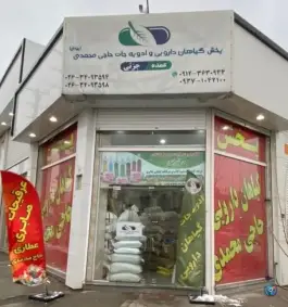عکس های گیاهان دارویی حاجی محمدی، گلها دوم، کرج