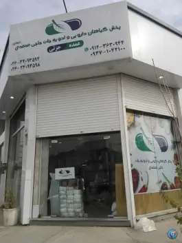 عکس گیاهان دارویی حاجی محمدی، گلها دوم، کرج 2