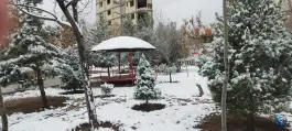 فضای سبز محلی صدر شرقی اصفهان