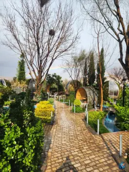 عکس رستوران انارستان، دکتر حسابی، شیراز 8