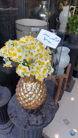 عکس گل آریسا، کوجان، اصفهان 5