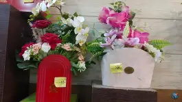 عکس گل آریسا، کوجان، اصفهان 10