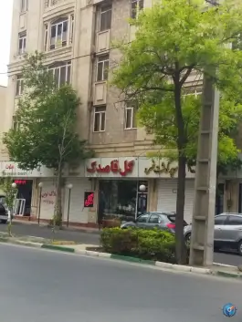 عکس های گل فروشی قاصدک؛ بهارستان، کرج