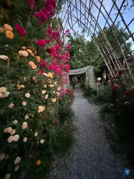 عکس کافه کنزو، نمین، اردبیل 2