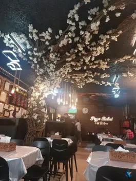 عکس پیتزا بلوط، خیام ۴۸، مشهد 10
