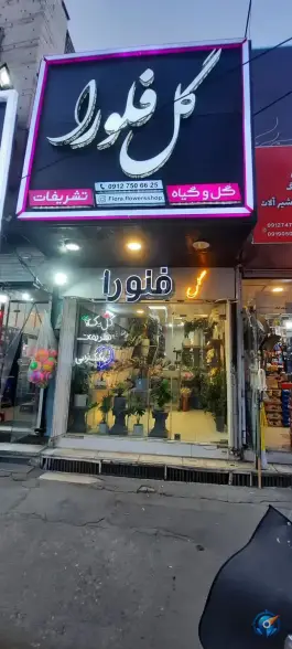 عکس های گل فلورا؛ بلوار امین، قم