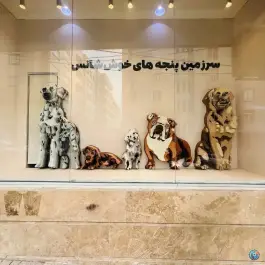 عکس پت شاپ هاپ شاپ، بلوار ملاصدرا، کرج 2