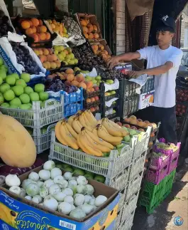 عکس هایپر میوه عطا ساعدی، لاله شمالی، اصفهان 3