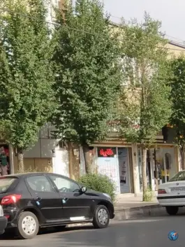 عکس های داروخانه دکتر سبحانی مقدم، شهرک معلم، اراک